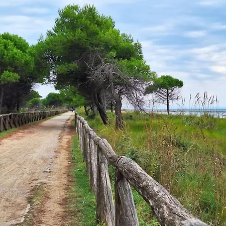 Bright With Balcony-beahost * Bibione